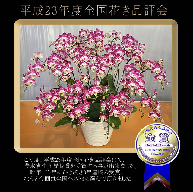 ���܎�܁@�n�b�s�[�N���X�g�t�@�[