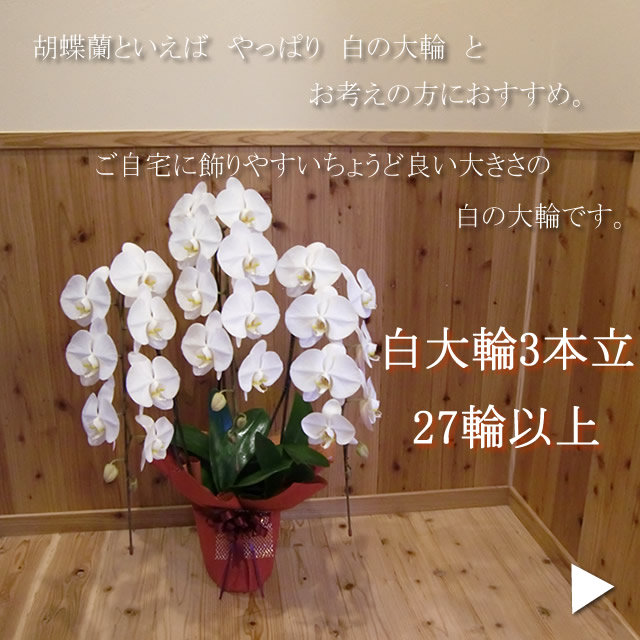 �����27���@�̔��y�[�W��