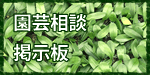 胡蝶蘭の園芸相談フォーム