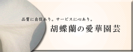 �Ӓ����̈��؉��|