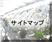 �Ӓ����̔z���ɂ���