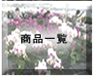 �Ӓ����̈��؉��|�T�C�g�}�b�v