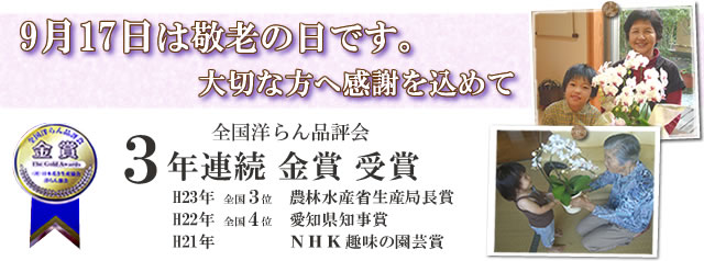 �Ӓ����@�h�V�̓��̑��蕨