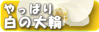 ���̑�֌Ӓ����y�[�W��
