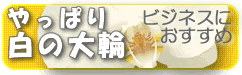 �Ӓ������̑��