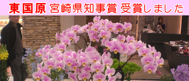 �Ӓ����@������q