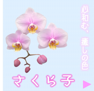 �Ӓ����@������q