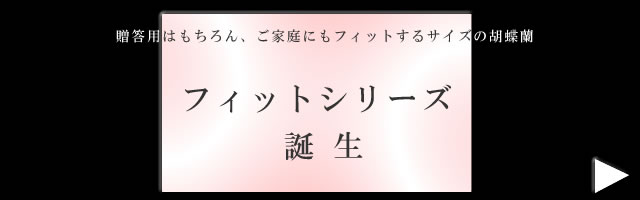 �Ӓ����t�B�b�g�V���[�Y�@6,950�~�`