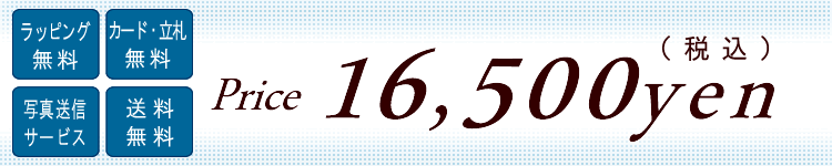 Ӓ@16500~