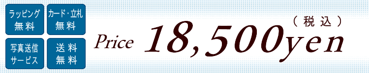 �Ӓ����@�P7000�~