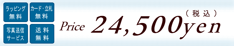 Ӓ@24500~