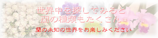 ���E�̂��