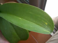 �Ӓ����@�t����