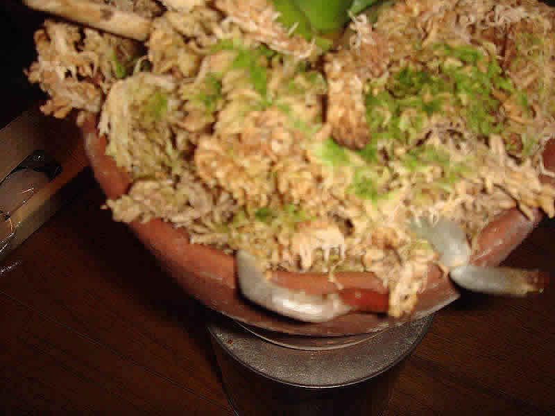 �Ӓ�������