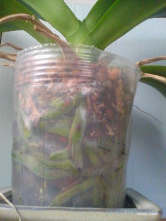 �Ӓ���������