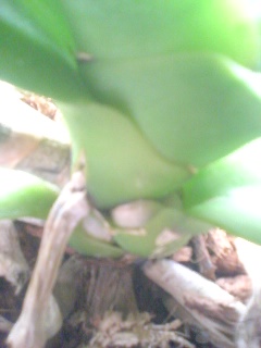 �Ӓ�������