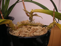 �Ӓ����@�t����