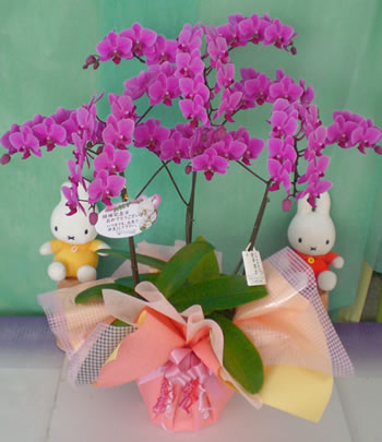 �Ӓ����~����3�{����70���ȏ�