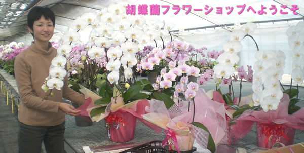 �Ӓ����t�����[�V���b�v