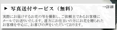 ʐ^tT[rX
