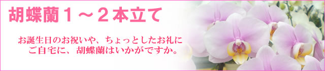 �Ӓ���1�`2�{