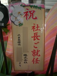 �Ӓ����A�C�j�J�[�h