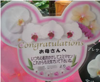 �Ӓ�����̓��J�[�h