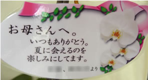 �Ӓ�����̓��J�[�h