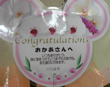 �Ӓ�����̓��J�[�h