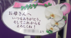 �Ӓ�����̓��J�[�h