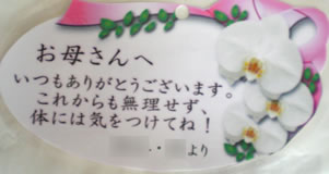 �Ӓ�����̓��J�[�h