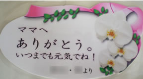 �Ӓ�����̓��J�[�h