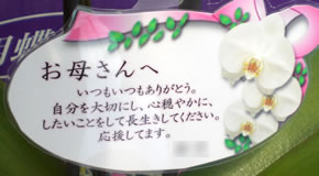�Ӓ�����̓��J�[�h