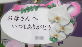 �Ӓ�����̓��J�[�h