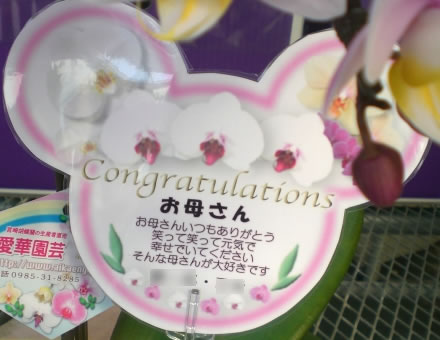 �Ӓ�����̓��J�[�h