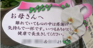 �Ӓ�����̓��J�[�h