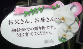 �Ӓ�����̓��J�[�h