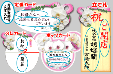 �Ӓ������ރT���v��