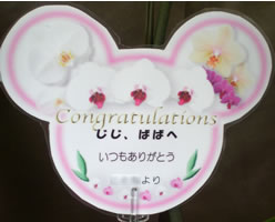 �Ӓ����@�h�V�̓��J�[�h
