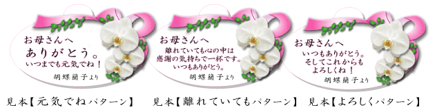 �Ӓ�����ԃ��b�Z�[�W���ރT���v��