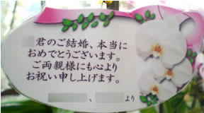 �Ӓ��������j�J�[�h