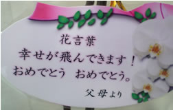 �Ӓ��������j�J�[�h