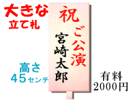 �Ӓ����傫�ȗ��D�T���v��