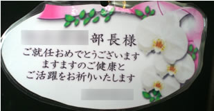 �Ӓ����A�C�j�J�[�h