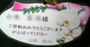 �Ӓ����A�C�j�J�[�h