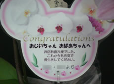 �Ӓ����ސE�j�J�[�h