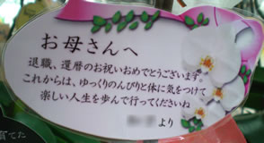 �Ӓ����ސE�j�J�[�h