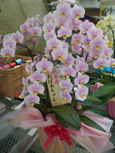 �Ӓ������j���p�x�[�W��