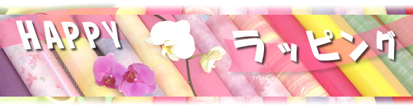 �Ӓ���ׯ��ݸ�