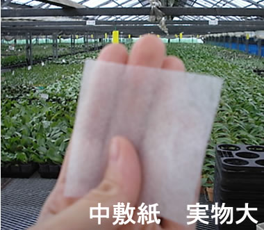 �Ӓ����̐A���ւ��Z�b�g�p���~��